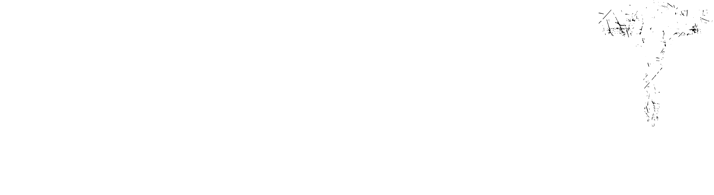 Project T | From the World of Dead by Daylight